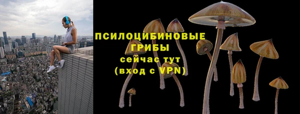 а пвп мука Богданович