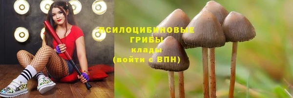 альфа пвп Богородск