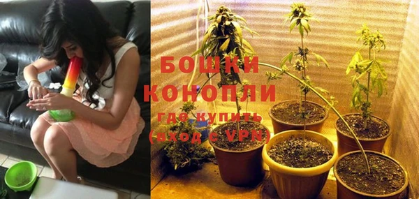 дурь Богородицк