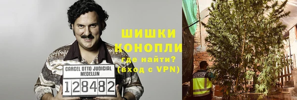 дурь Богородицк