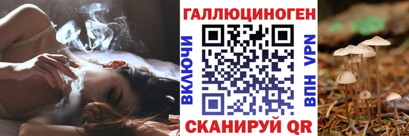 что такое наркотик  Семилуки  Галлюциногенные грибы мицелий 